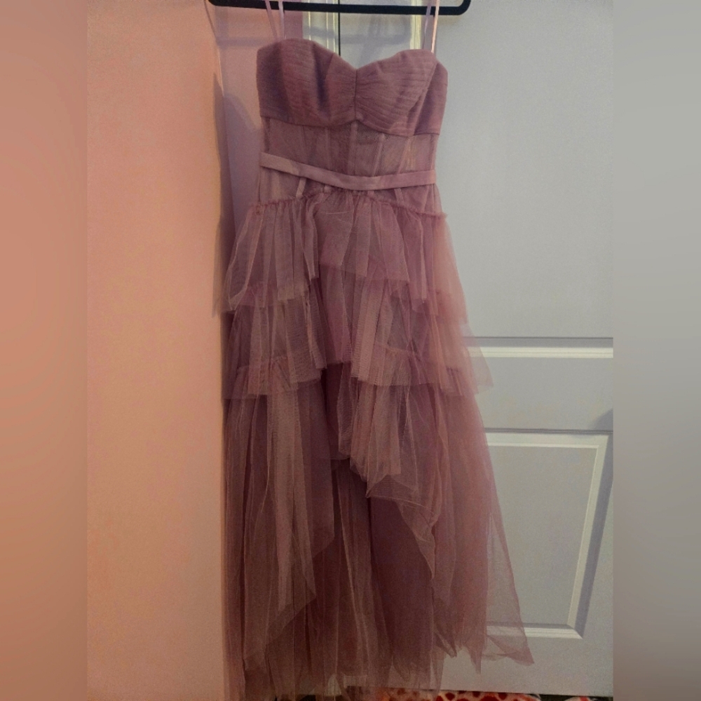 Elegant Mauve Layered Tulle Dress BCBG
